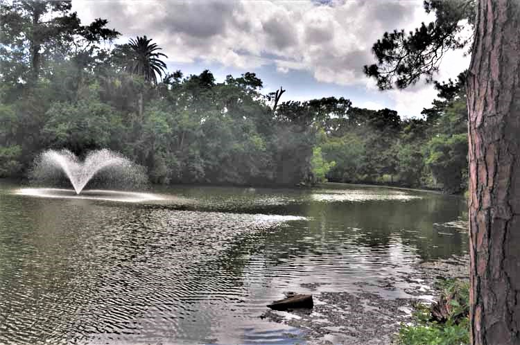 park